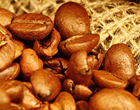 image of Light roast coffee beans