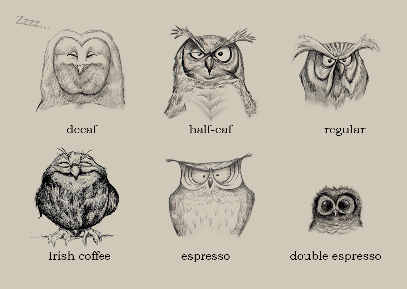 image of using owls to illustrate different styles of coffee