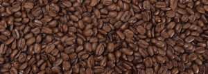 Shade Grown Organic Coffee Beans Wholesale