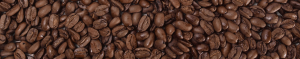 Shade Grown Organic Coffee Beans