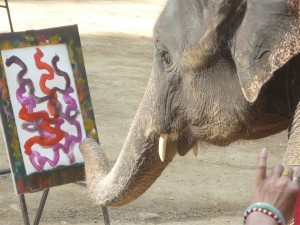chiang mai painting elephant