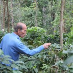 Paradise Mountain Coffee Bean Picking
