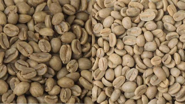 image of how decaf coffee is made