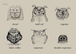 using owls to illustrate different styles of coffee