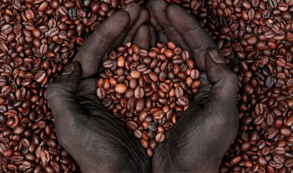 image of fair trade coffee beans