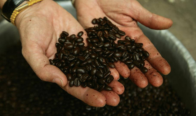 image of coffee in laos