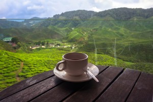 coffee vietnam 2016 economy