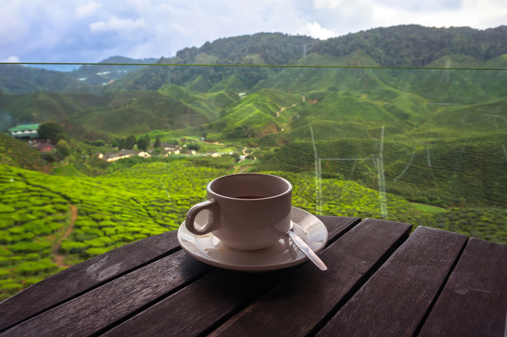 image of coffee vietnam 2016 economy