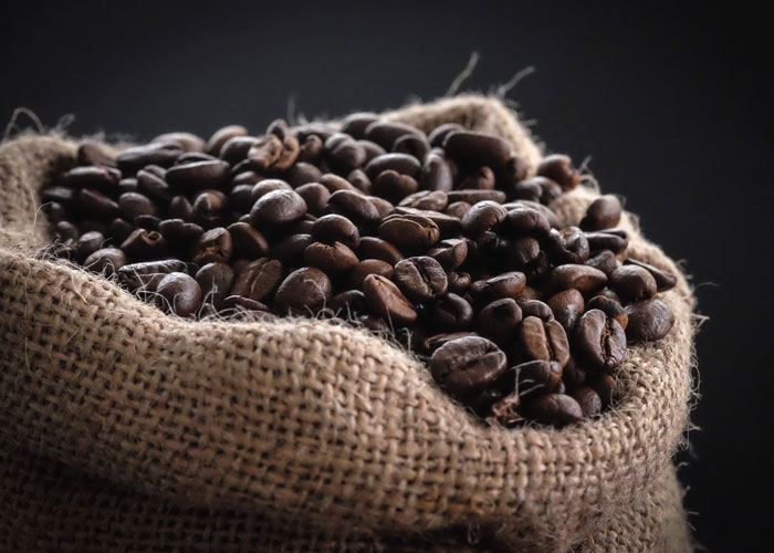coffee agrotourism